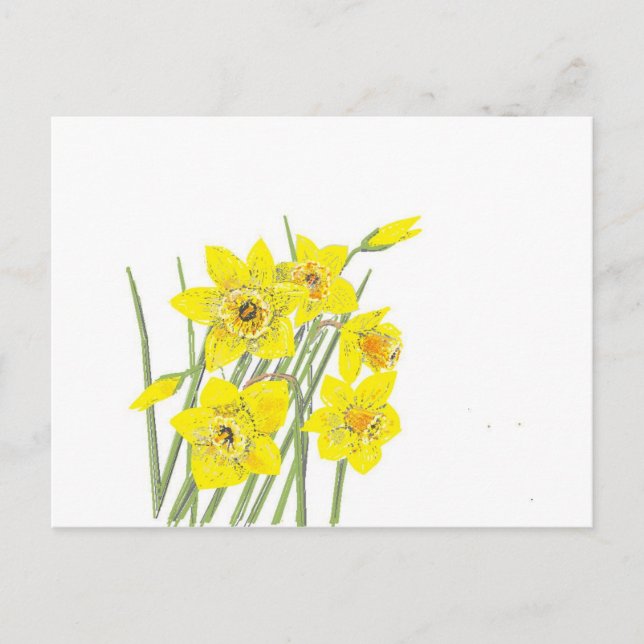Carte Postale Jolies Daffodiques (Devant)