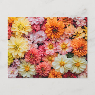 Carte Postale Jolies Fleurs Colorful Motif Floral Beau