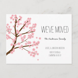 Carte Postale Jolies fleurs de cerisiers Sakura Arbre Nous avons