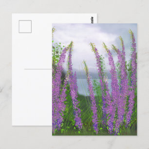 Carte Postale Jolies Fleurs de Lupin au Bord du Lac