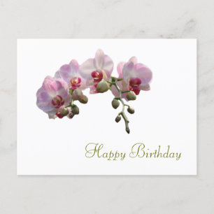 Carte Postale jolies fleurs d'orchidée roses joyeux anniversaire