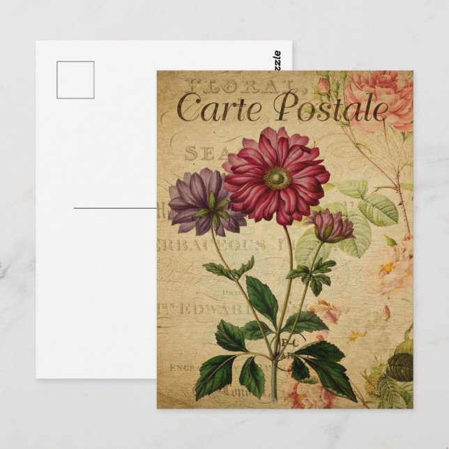 Carte Postale Jolies fleurs Vintages (Devant / Derrière)