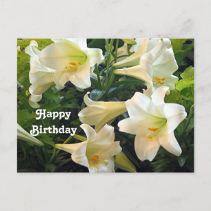 Carte Postale Jolies lys de Pâques blancs Photo florale Annivers