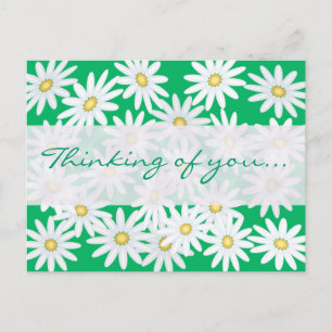 Carte Postale Jolies marguerites
