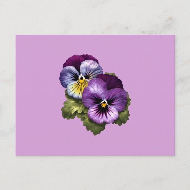 Carte Postale Jolies Pansies Violettes (Devant)