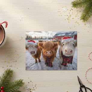 Carte Postale Jolies vaches des Highlands de Noël dans la neige