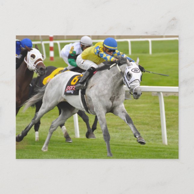 Carte Postale Jose Ortiz sur Rapide et Précis (Devant)