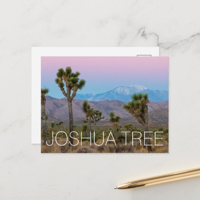 Carte Postale Joshua Tree (Devant/Arrière en situation)