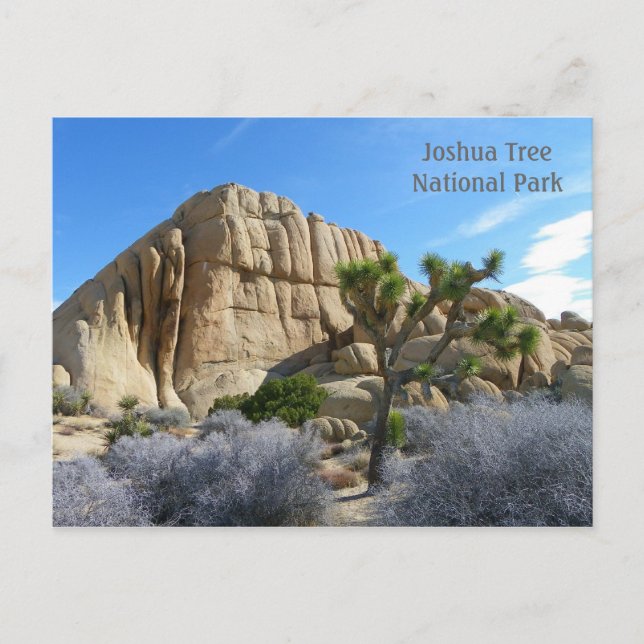 Carte postale Joshua Tree ! (Devant)