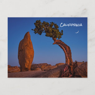 Carte postale Joshua Tree California