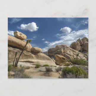 Carte Postale Joshua Tree, Californie
