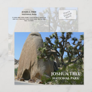Carte Postale Joshua Tree, formations rocheuses Parc national de
