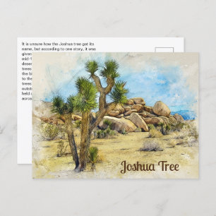 Carte Postale Joshua Tree Fun fait