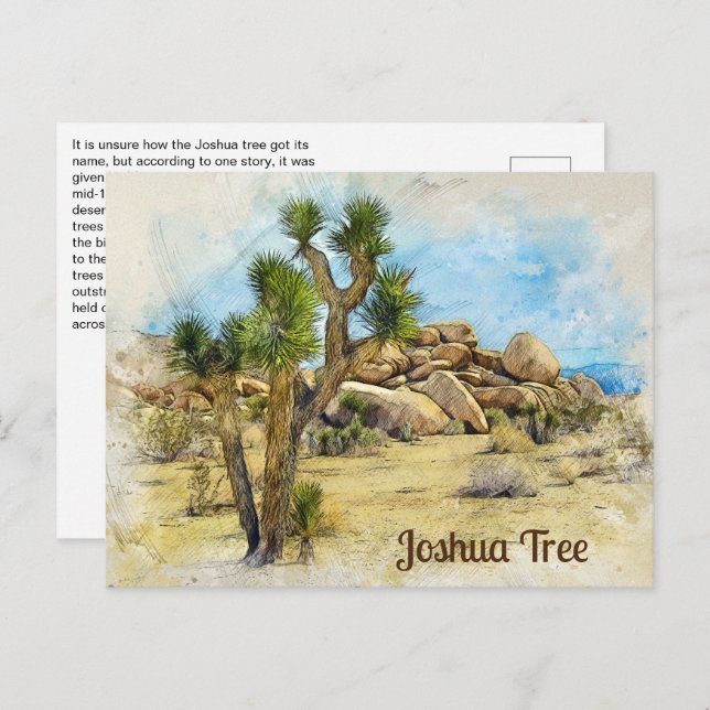 Carte Postale Joshua Tree Fun fait (Devant / Derrière)