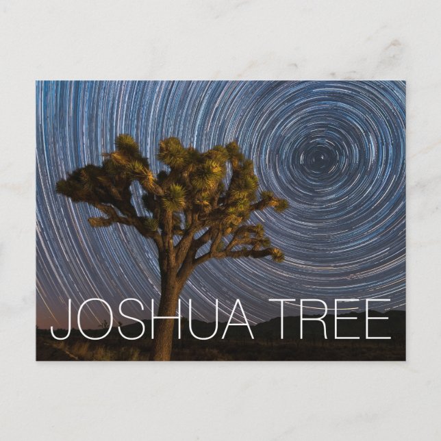 Carte Postale Joshua Tree National Park Night Sky (Devant)