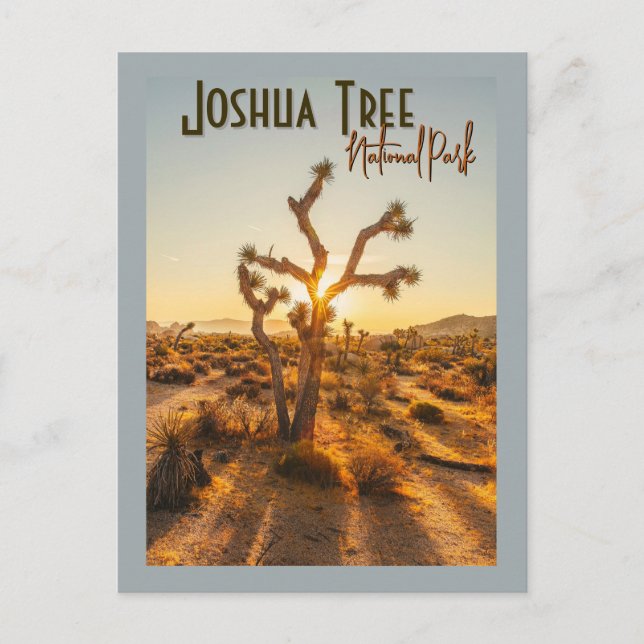 Carte Postale Joshua Tree National Park Souvenir Cadeau (Devant)