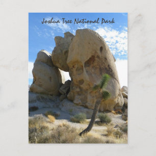 Carte postale Joshua Tree Park !