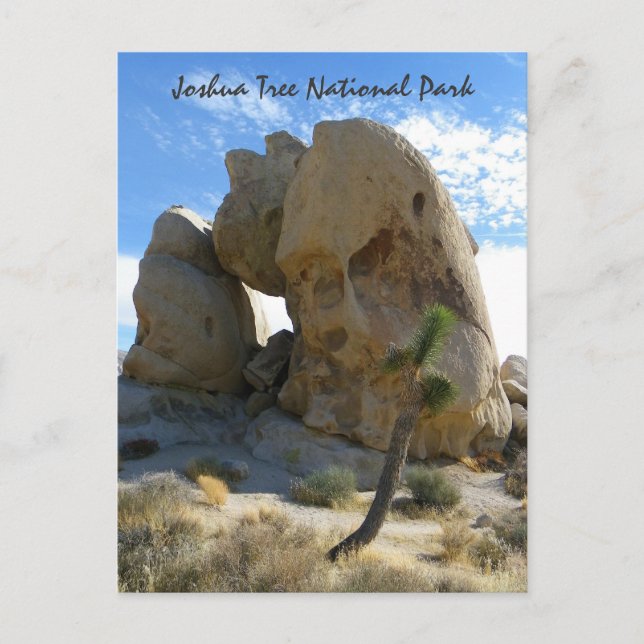 Carte postale Joshua Tree Park ! (Devant)