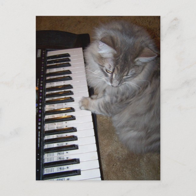 Carte Postale Joue cette musique Raisin (Devant)