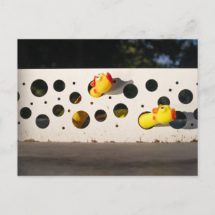 Carte Postale Jouer aux poulets en caoutchouc