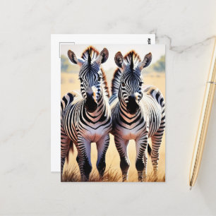 Carte Postale Jouer Zebras Colorful Safari Inspiré Art