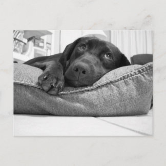 Carte Postale Jouerez-vous ?