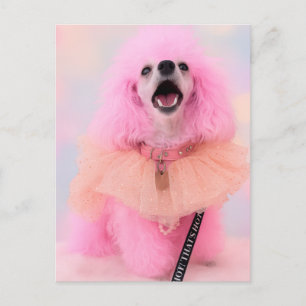 Carte postale : Jouet Caniche Rose, Mozzarella Le