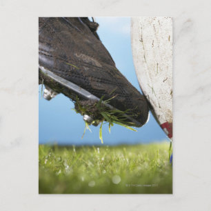 Carte Postale Joueur de rugby à botter la balle de départ, gros