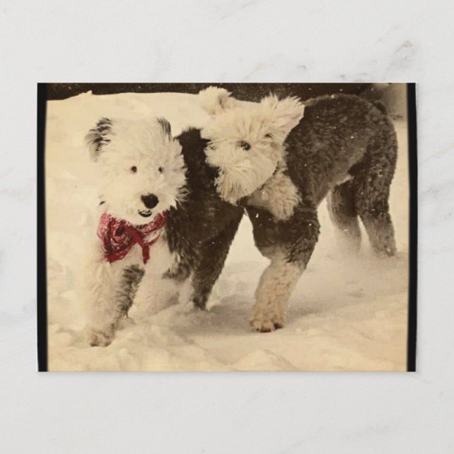 Carte Postale Jouons ! (Devant)