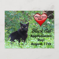 Carte postale Jour d'appréciation du chat noir