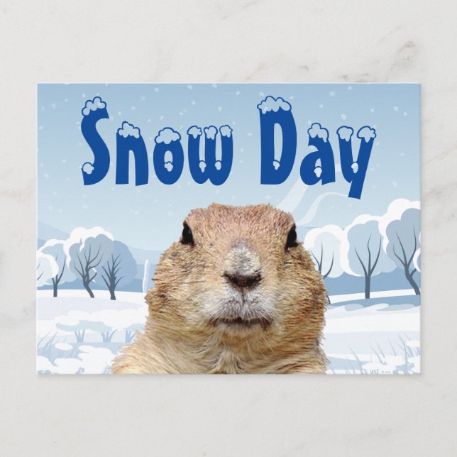 Carte Postale Jour de la neige de la marmotte (Devant)