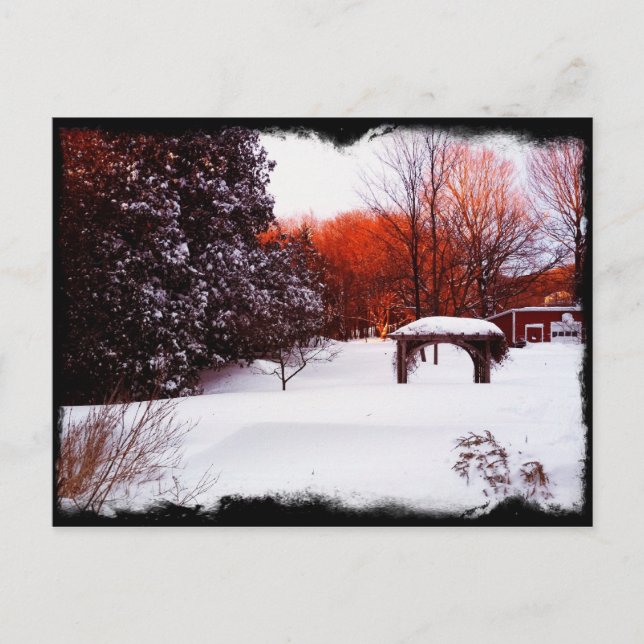 Carte Postale Jour de la neige du Vermont 2011 (Devant)