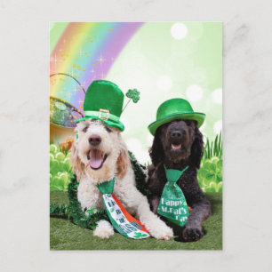 Carte Postale Jour de la Saint Patrick - GoldenDoodles - Sadie e