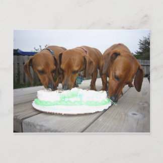 Carte Postale Jour de la St Patrick