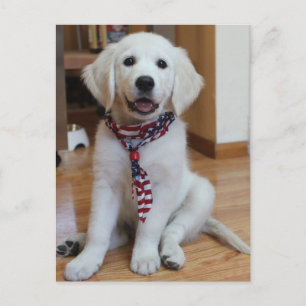 Carte Postale Jour de l'Indépendance, 4 juillet