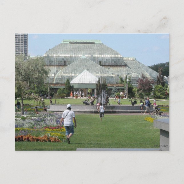 Carte Postale Jour d'été à Chicago (Devant)