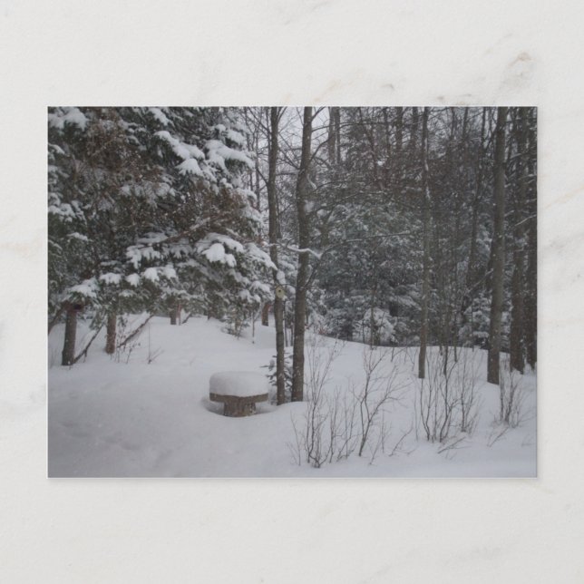 Carte Postale Jour d'hiver de Milou (Devant)