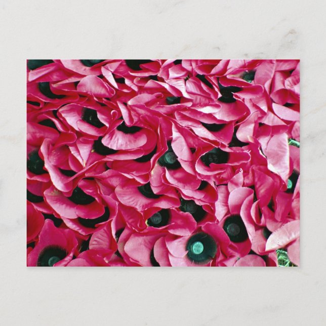Carte Postale Jour du pavot (Devant)
