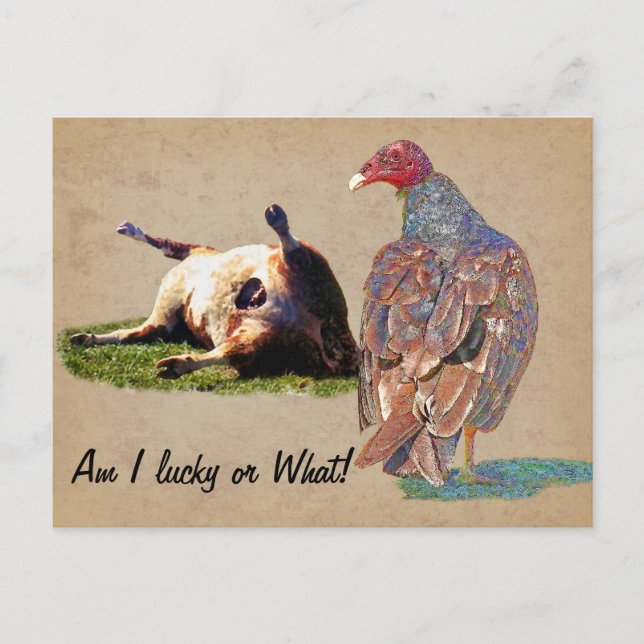 CARTE POSTALE JOUR LUCKY (Devant)