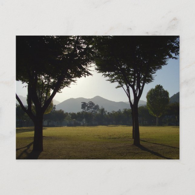 Carte Postale Jour paisible (Devant)