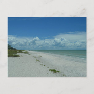 Carte Postale Jour Sur Une Plage Tropicale