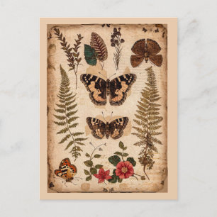Carte Postale Journal de la nature des papillons et des fougères