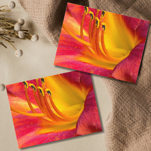 Carte postale journalière rouge gracieuse