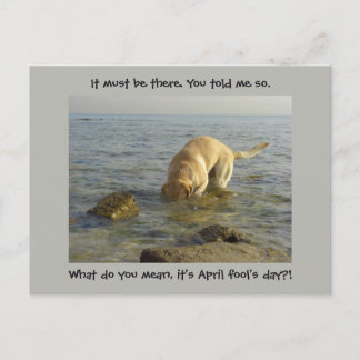 Carte Postale Journée d'avril - Goofy Labrador