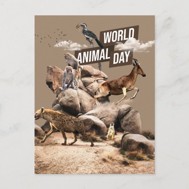 Carte Postale Journée mondiale des animaux (Devant)