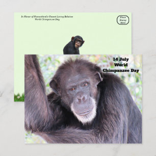 Carte Postale Journée mondiale du chimpanzé - 14 juillet
