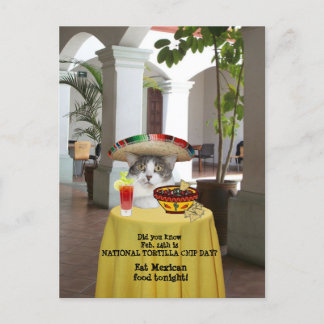 Carte Postale Journée nationale de la chipe Tortilla Chat amusan