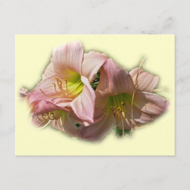 Carte Postale Journées roses fantaisie (Devant)
