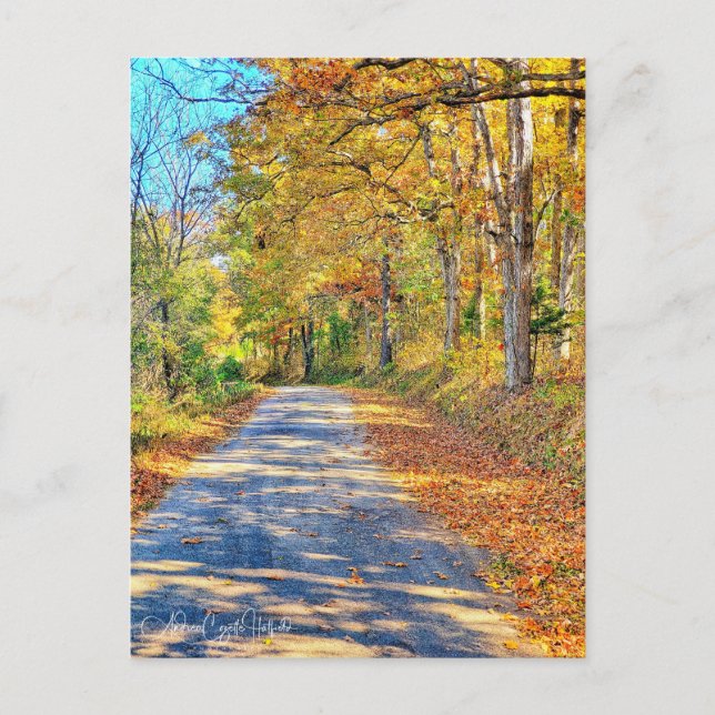 Carte Postale Journey Ahead (Devant)