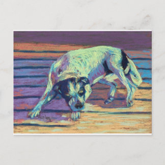 Carte Postale Jours de chien